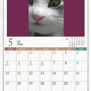 猫に小判を与えたら。 埋蔵金：千八百四拾弐両　今に始まった事やないけどぉ。