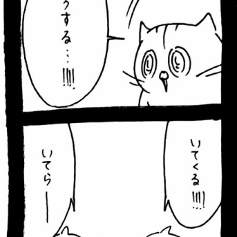 仲直り大作戦〜ﾈｺﾁｬﾝの策略〜52