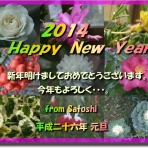 ビデオ鑑賞日記