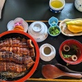 昼食に鰻