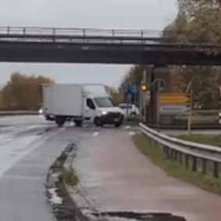 猫の動画 ねこわん！