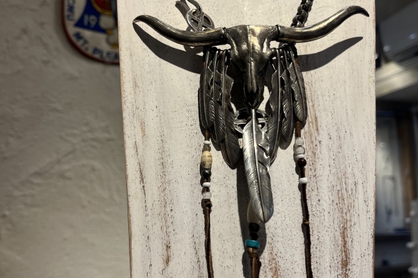 STUDIO T&Y Blog - テキサスロングホーン