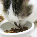 ちょっと心配かも