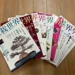 雨竹 盆栽 水石 便り
