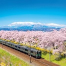 今年の桜は10日ほど早く咲く！