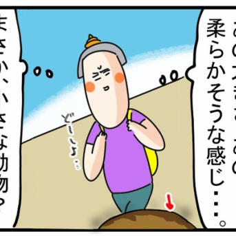 #41『散歩中に見つけた小動物？が横たわるすがた』