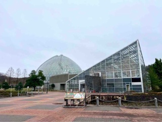 植物園でクリスマスナイト！サンタクロースも登場！『新潟県立植物園』で『新潟県立植物園ウィンターフェスタ』開催！12月20日。