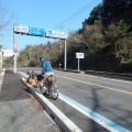 大三島でタンデム軍団と遭遇