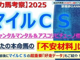 【回顧】エリザベス女王杯 ～レガレイラはきっと良い種牡馬になれるだろう～＜2025＞
