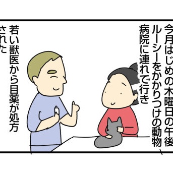 かかりつけの動物病院と二次診療（１）ことのはじまり