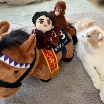 ドウデュースのぬいぐるみよりも猫が気になったもの