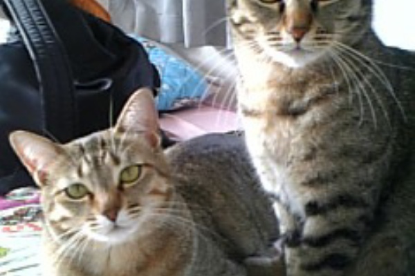 俺達みーもんずっ