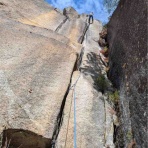 かっしーくらいむ