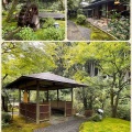100年の“隠れ家“ 京都「わらびの里」に盆栽を飾って