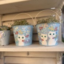 ＊晩秋の小庭、紅葉だったり春と間違えてたり(＊¯艸¯)