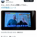 【画像】ルビィちゃん、ゴールデンタイムの地上波進出wwwwwwwwww