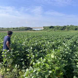 鳥海の麓 「北村くらた農園」より愛を米て。　