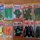 夏野菜の種購入