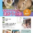 保護うさぎ譲渡会 保護うさぎさんに逢おうの会in神戸【7/5】
