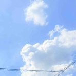 きゅきゅぐまのいちにち。