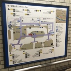 イワナの散歩Ⅱ