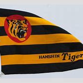 野球界の異色の星！阪神通訳がWBCブラジル代表選出の背景