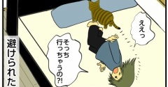 愛猫に避けられる時