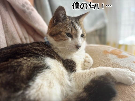 洗うべきか…洗わざるべきか…
