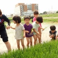 苗とり　田植え