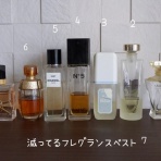 たかシェフのおうちごはん。と、白い犬。と、チワワ。