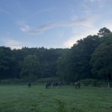『日の出時間』の画像