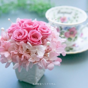 Piantaの花 大阪市天王寺区にある花の教室 ヘリクリサム