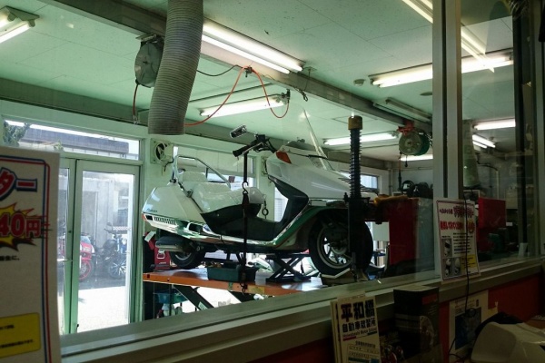 Fusion フュージョンカスタム セイ生活 フュージョン