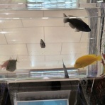 けんじのブログ