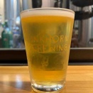 インクホーン・ハゼカゼ