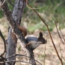【日々の暮らし】散歩道は小さな春の鼓動が響き渡る♪♪
