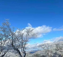 【茨木２りんかん】BMC新作「俺のジーンズ」入荷してます！！