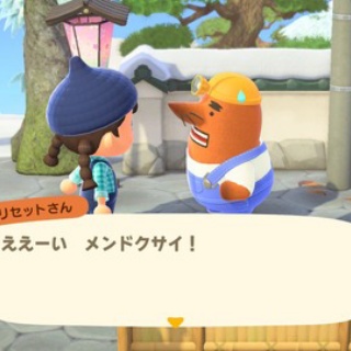 あつ森だらライフ