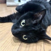 いつも私の一歩先を行く夫