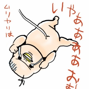 このお腹ともお別れです 前編 40w6d たまご絵日記 2児のかあちゃん奮闘記 Powered By ライブドアブログ