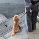 お勉強の時間【青色の教室】🧙🏻