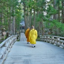 「仏教タントリズム」（密教）　連載第635回