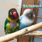 彩日和（いろどりびより）