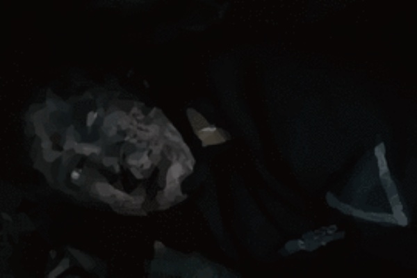 小さな独裁者 感想 Cinema Club Blog