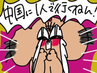 中国アゲ日本サゲブロガーオギャ子