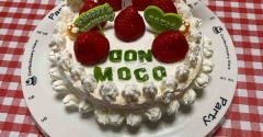 詳しくは明日。モコどんお誕生日おめでとう！