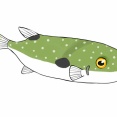 海釣りで一番簡単に釣れる魚って何？