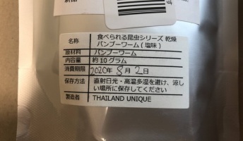 【閲覧注意】アマゾンで"虫"買ったから食べるよー!【昆虫食】