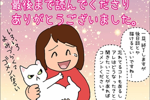 迷子猫探しの記録 シロチャンどこいった