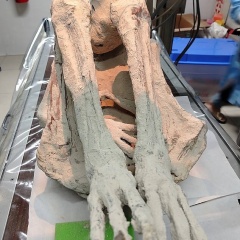 何度も否定された、ペルーの「異星人ミイラ」に新展開！ 高まる“本物”の可能性